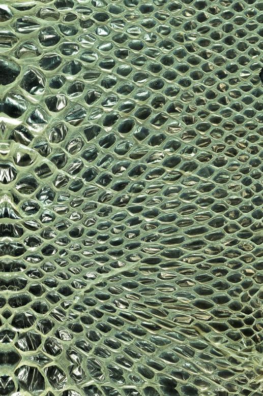 Free stock image of Cobra skin created by rudy bagozzi