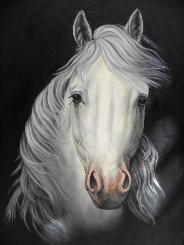 Free stock image of Horse Painting created by Yuliy Ganev