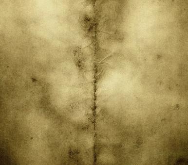 Free Stock Photo of grunge background
