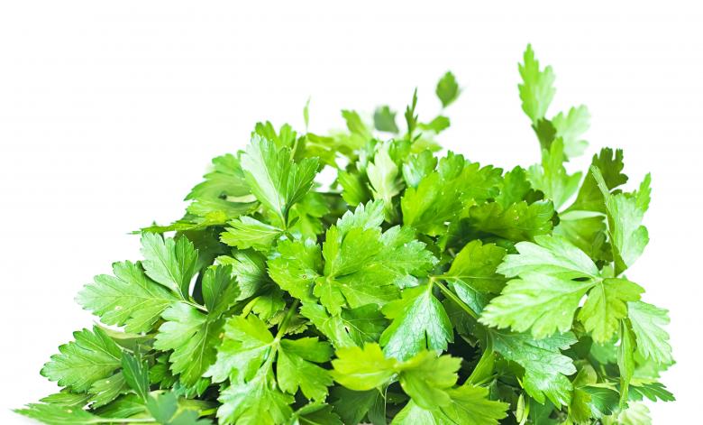 Free stock image of Green herb leaves on white created by 2happy