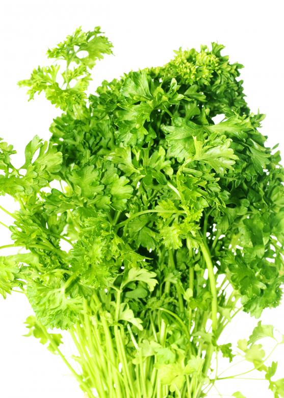 Free stock image of Herb Leaves Background created by 2happy