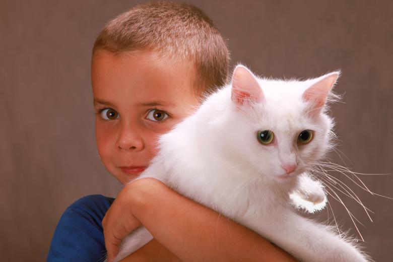 Free stock image of Boy holding a cat created by 2happy