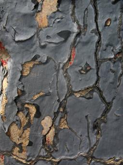 Free Stock Photo of Cracked Stone