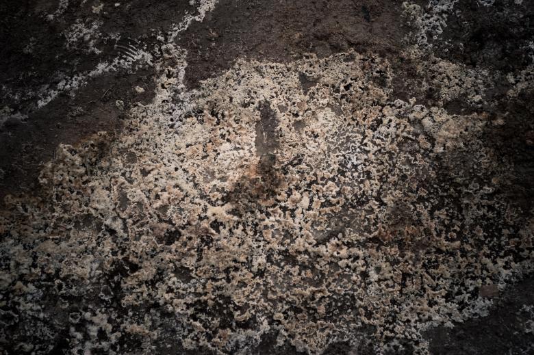 Free stock image of Geothermal Mud created by Bjorgvin