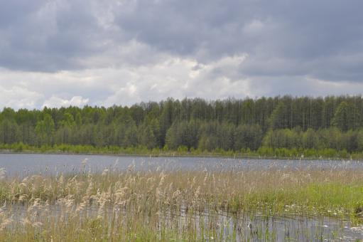 Free Stock Photo of Lake