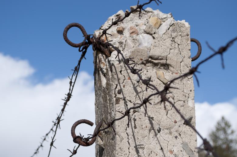 Free stock image of Thorns created by Berdnik Oleksander