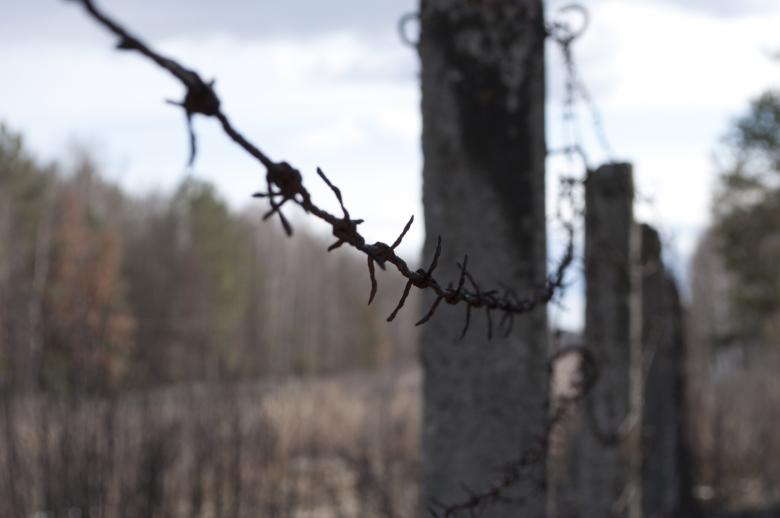 Free stock image of Barbed wire created by Berdnik Oleksander