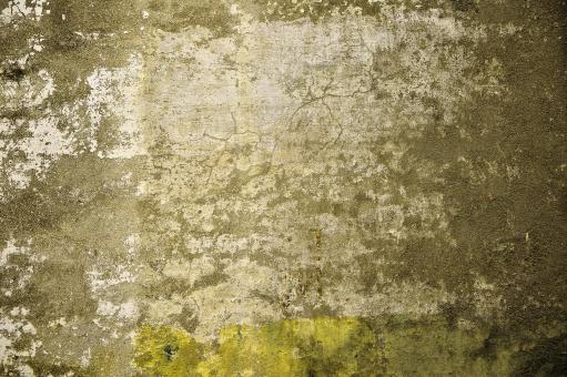 Cracked wall texture