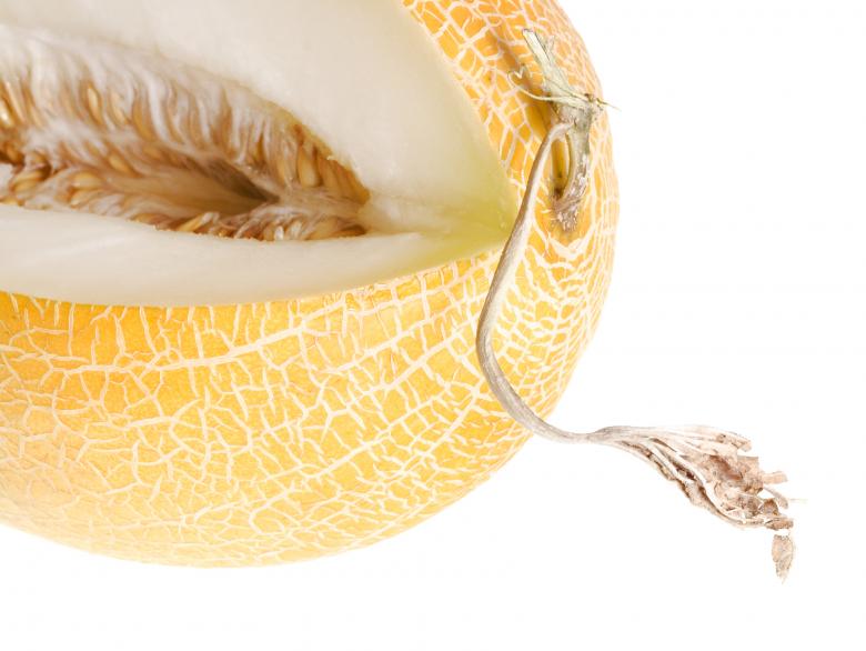 Free stock image of melon created by 2happy