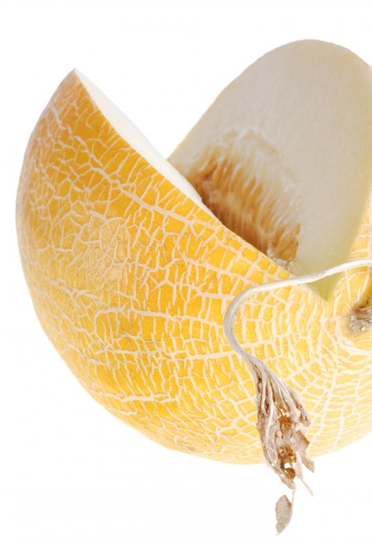 Free stock image of melon created by 2happy
