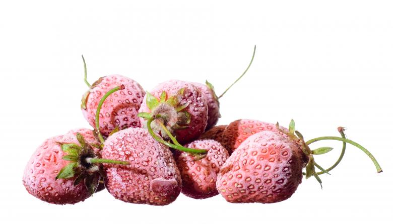 Free stock image of frozen Strawberry  created by 2happy