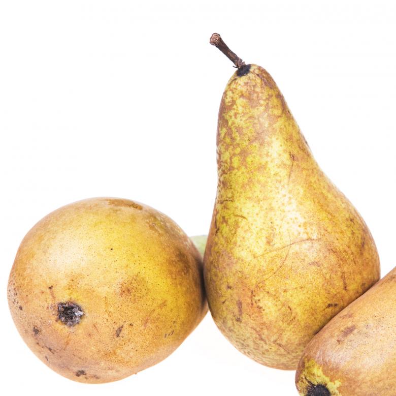 Free stock image of pears created by 2happy
