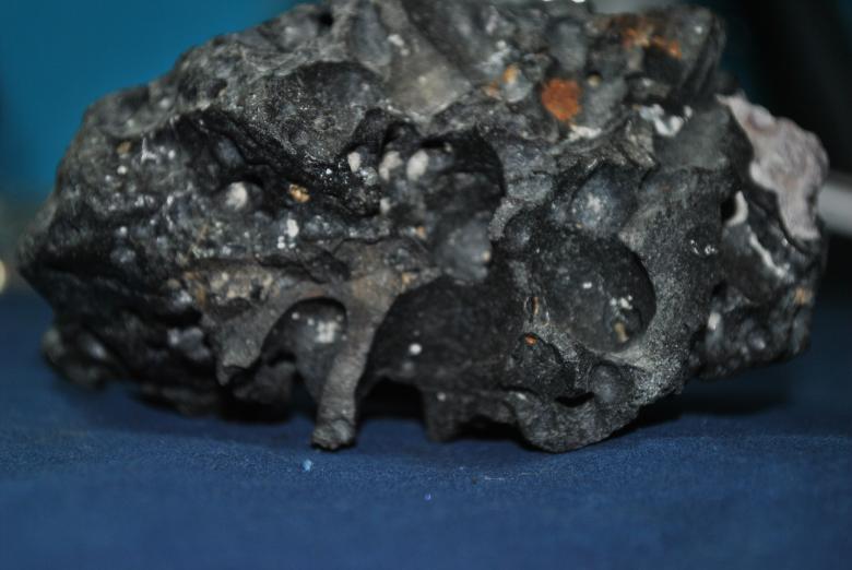 Free stock image of Coral created by Jenn