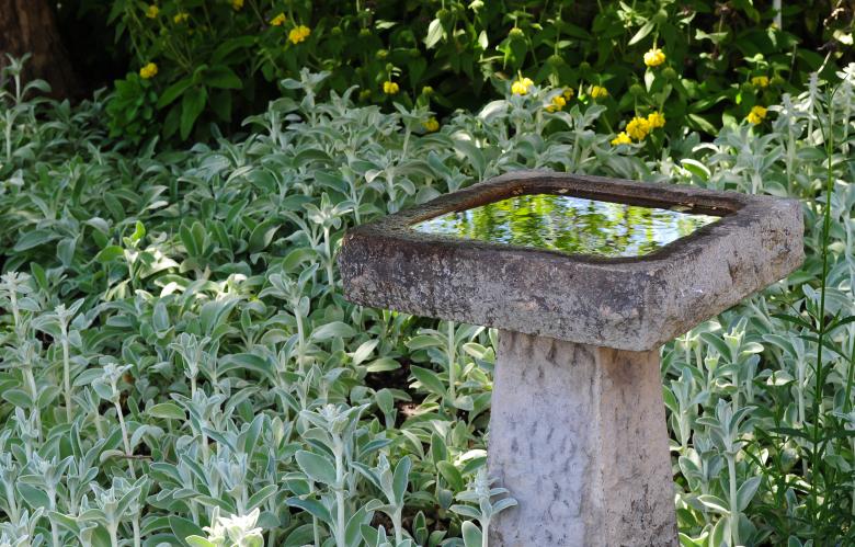 Free stock image of Bird Bath created by Rachael Towne