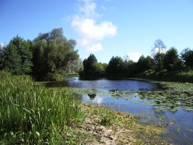 Free stock image of Lake created by Berdnik Oleksander