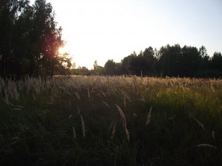 Free Stock Photo of Sunset