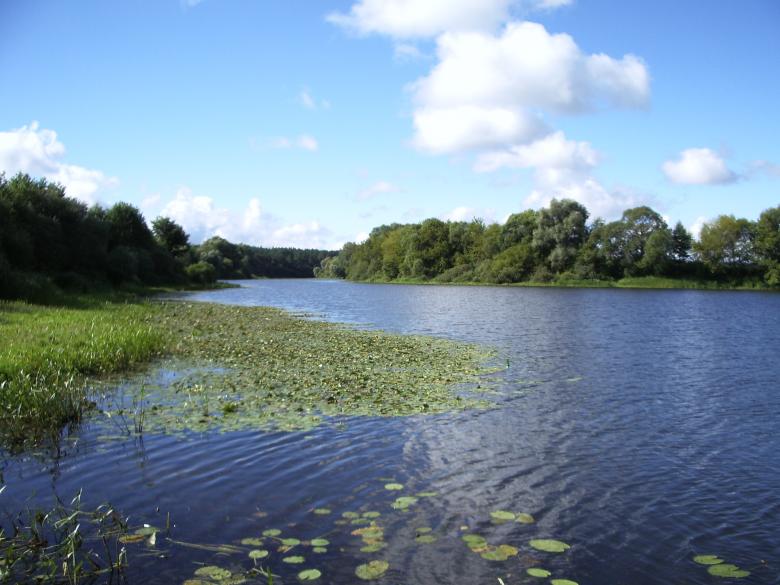 Free stock image of River created by Berdnik Oleksander