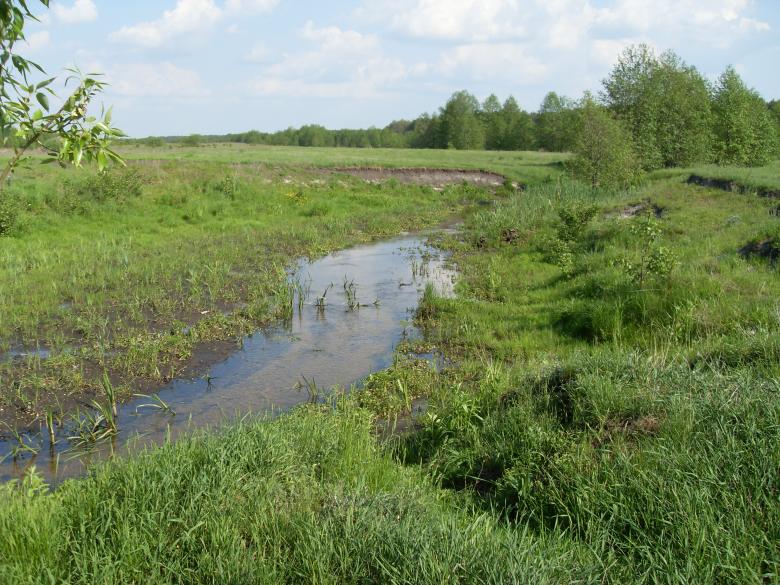 Free stock image of Stream created by Berdnik Oleksander
