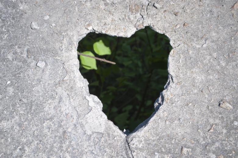 Free stock image of Heart created by Berdnik Oleksander