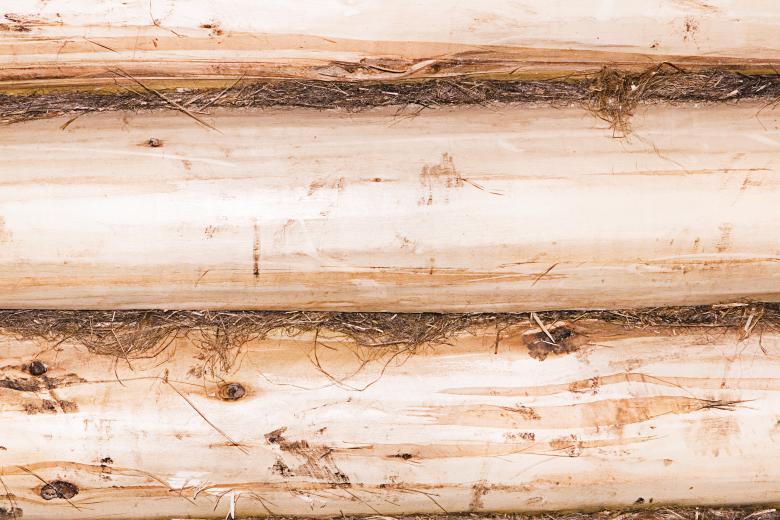 Free stock image of wood background created by 2happy