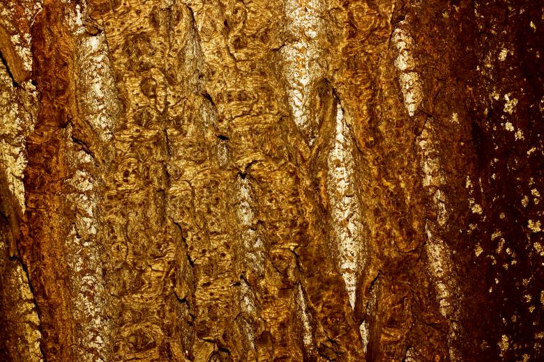 Free stock image of Grunge wood background created by 2happy
