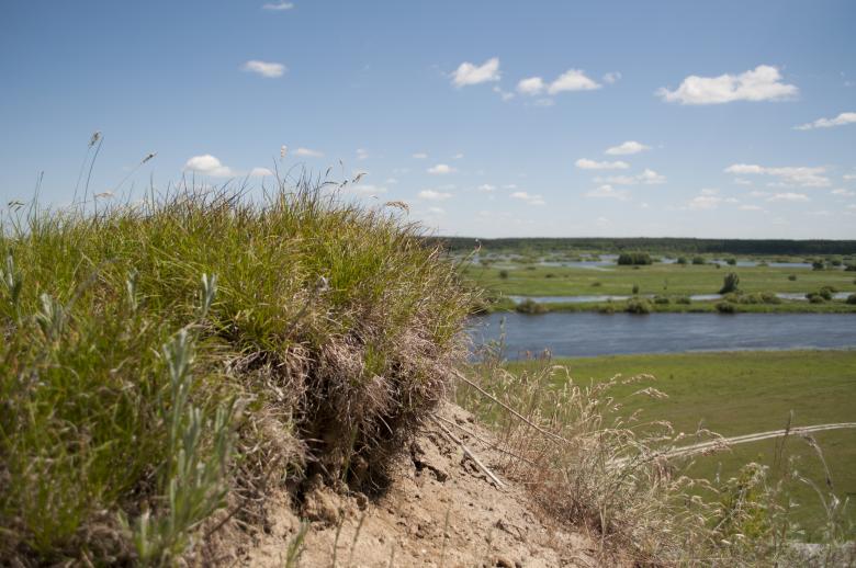 Free stock image of Hill top created by Berdnik Oleksander