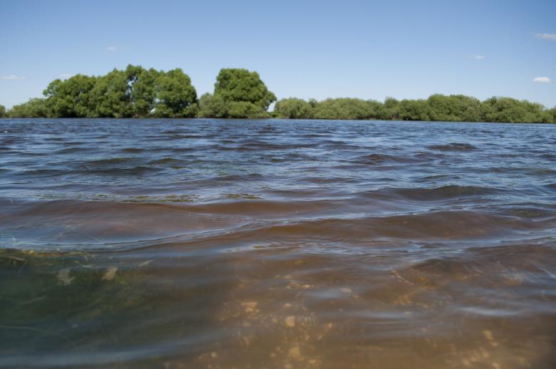 Free stock image of Water created by Berdnik Oleksander