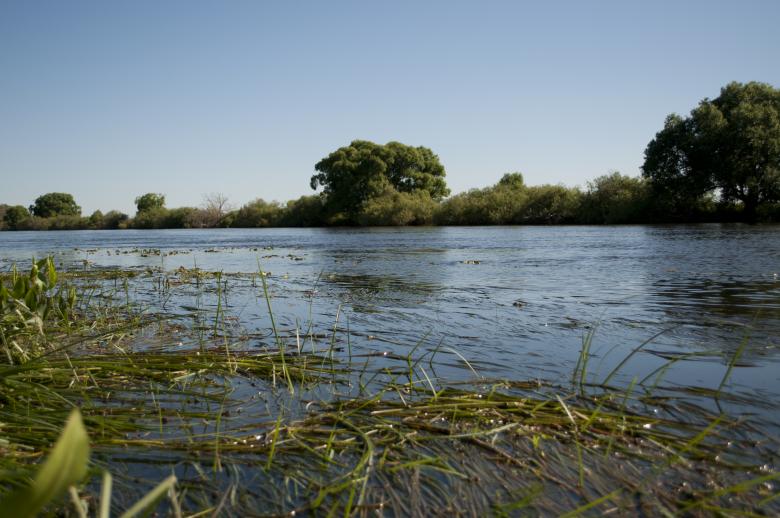 Free stock image of River created by Berdnik Oleksander