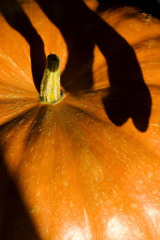 Free stock image of halloween created by 2happy