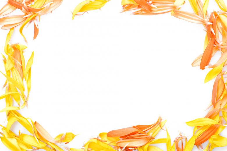 Free stock image of Flower Petals Frame created by 2happy