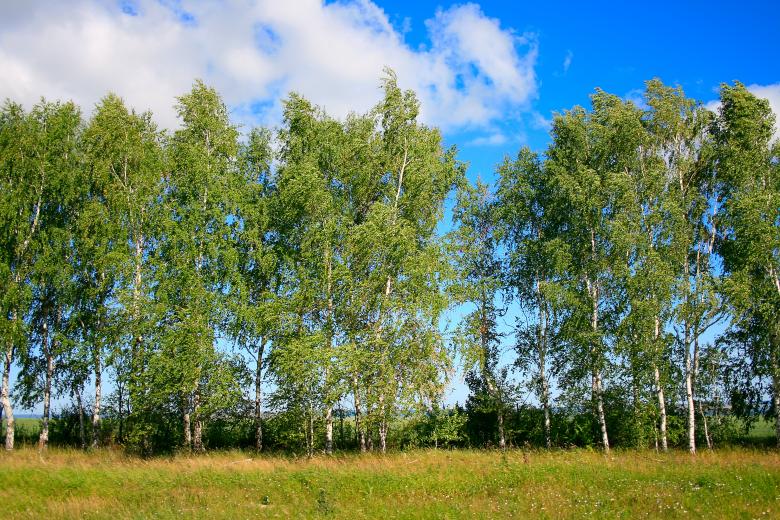 Free stock image of nature scene created by 2happy
