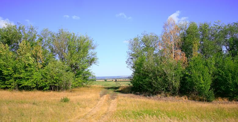 Free stock image of nature scene created by 2happy
