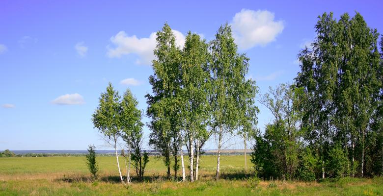 Free stock image of nature scene created by 2happy