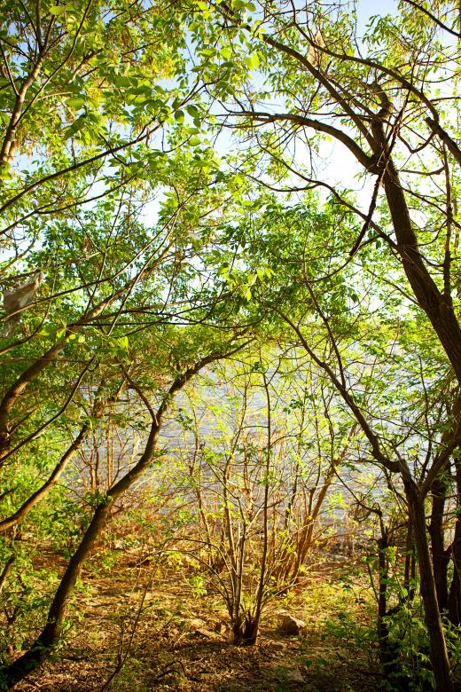 Free stock image of nature scene created by 2happy