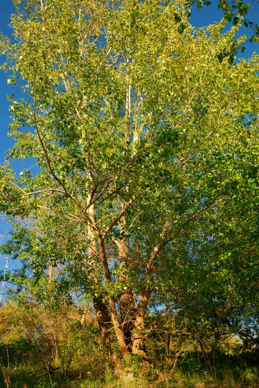Free stock image of nature scene created by 2happy