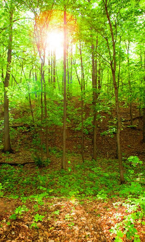 Free stock image of nature scene created by 2happy