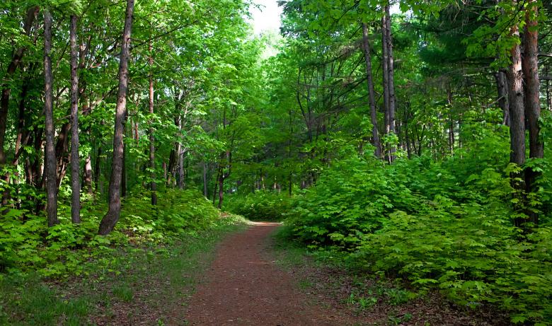 Free stock image of path created by 2happy