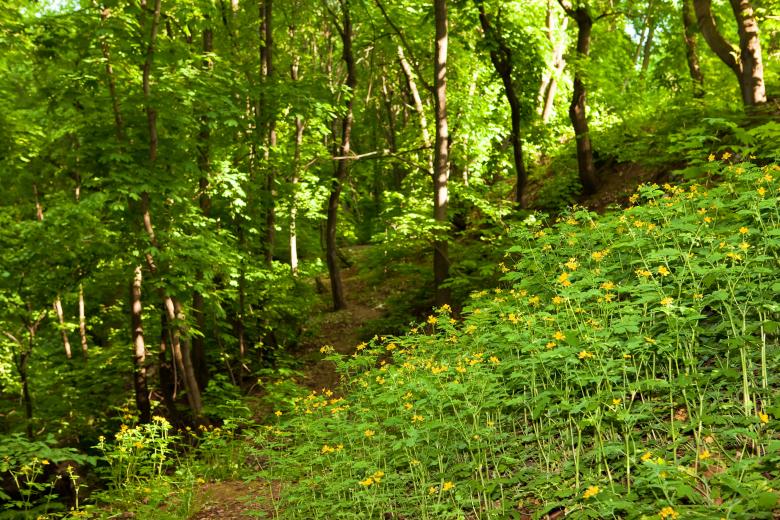 Free stock image of nature scene created by 2happy