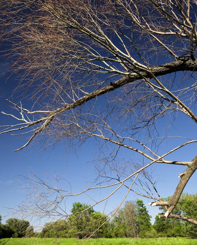 Free stock image of nature scene created by 2happy