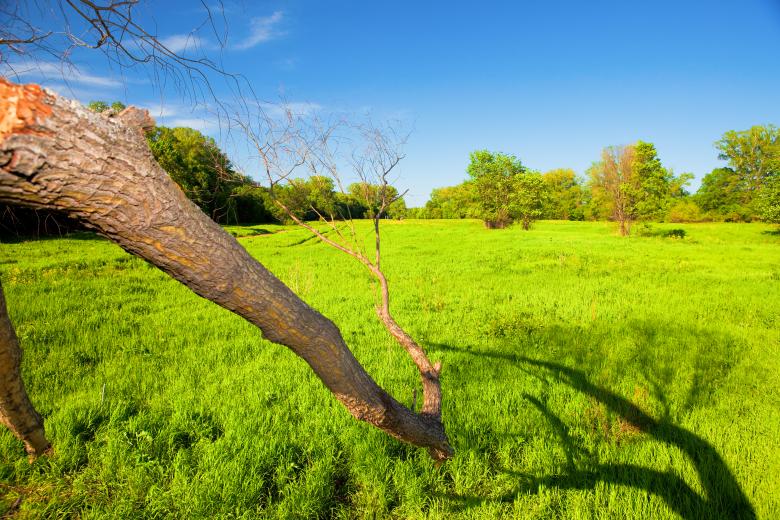 Free stock image of nature scene created by 2happy