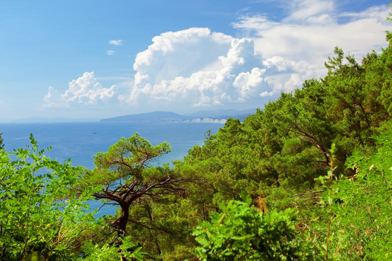 Free stock image of nature scene created by 2happy