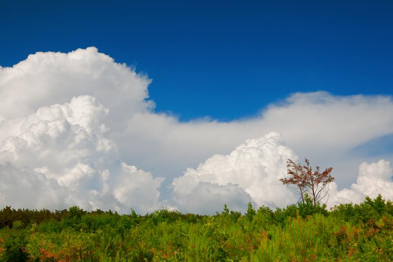 Free stock image of nature scene created by 2happy