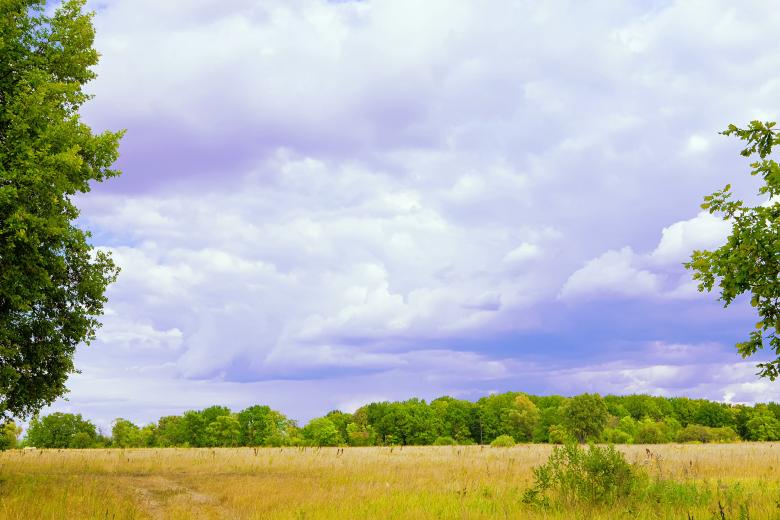 Free stock image of nature scene created by 2happy