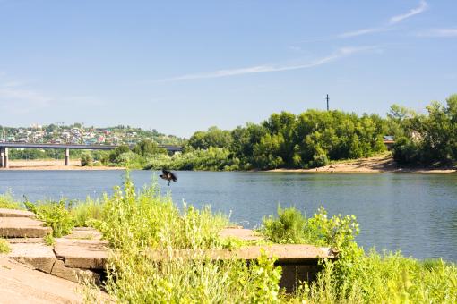 Free Stock Photo of summer scene