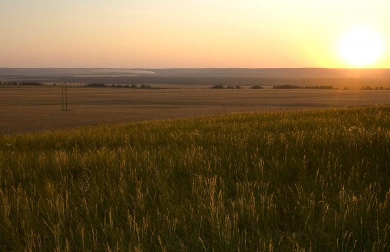 Free stock image of summer scene created by 2happy