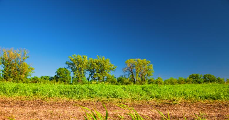 Free stock image of summer scene created by 2happy
