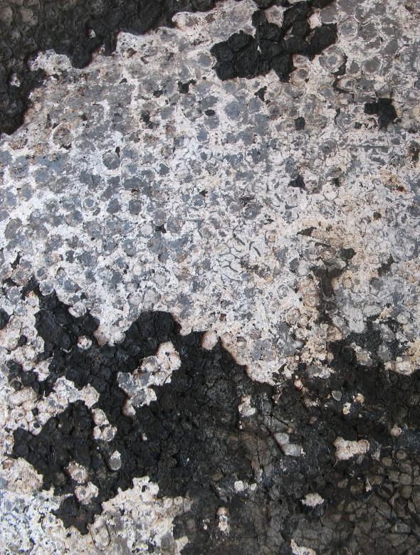 Free stock image of Grunge Metal Texture created by Free Texture Friday