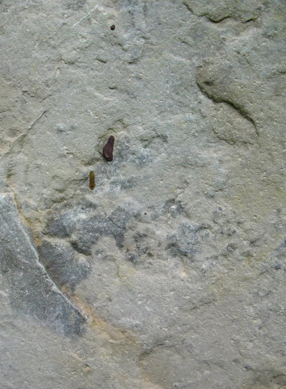 Free stock image of Stone Texture created by Free Texture Friday
