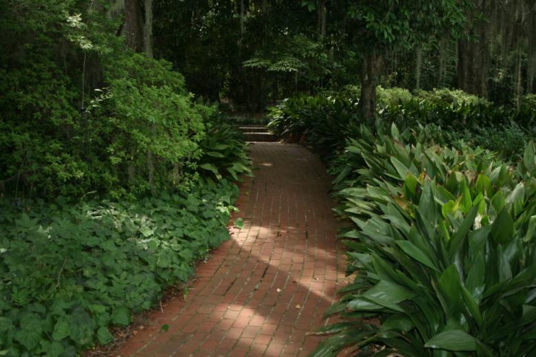 Free stock image of Path created by GusRomanPhotography