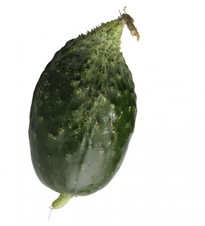 Free stock image of Cucumber created by 2happy